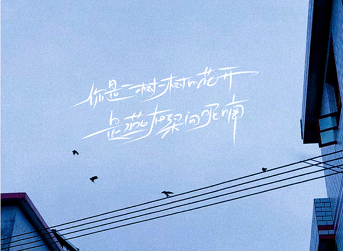 手写字体练习（图ZMjQ5MjQ1NTAw） - 字体/字形 - 站酷设计师chumei13原创素材 - 站酷ZCOOL