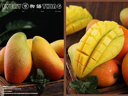 【芒果】金煌芒和小台芒