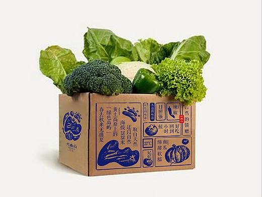 六盘山冷凉蔬菜——logo设计