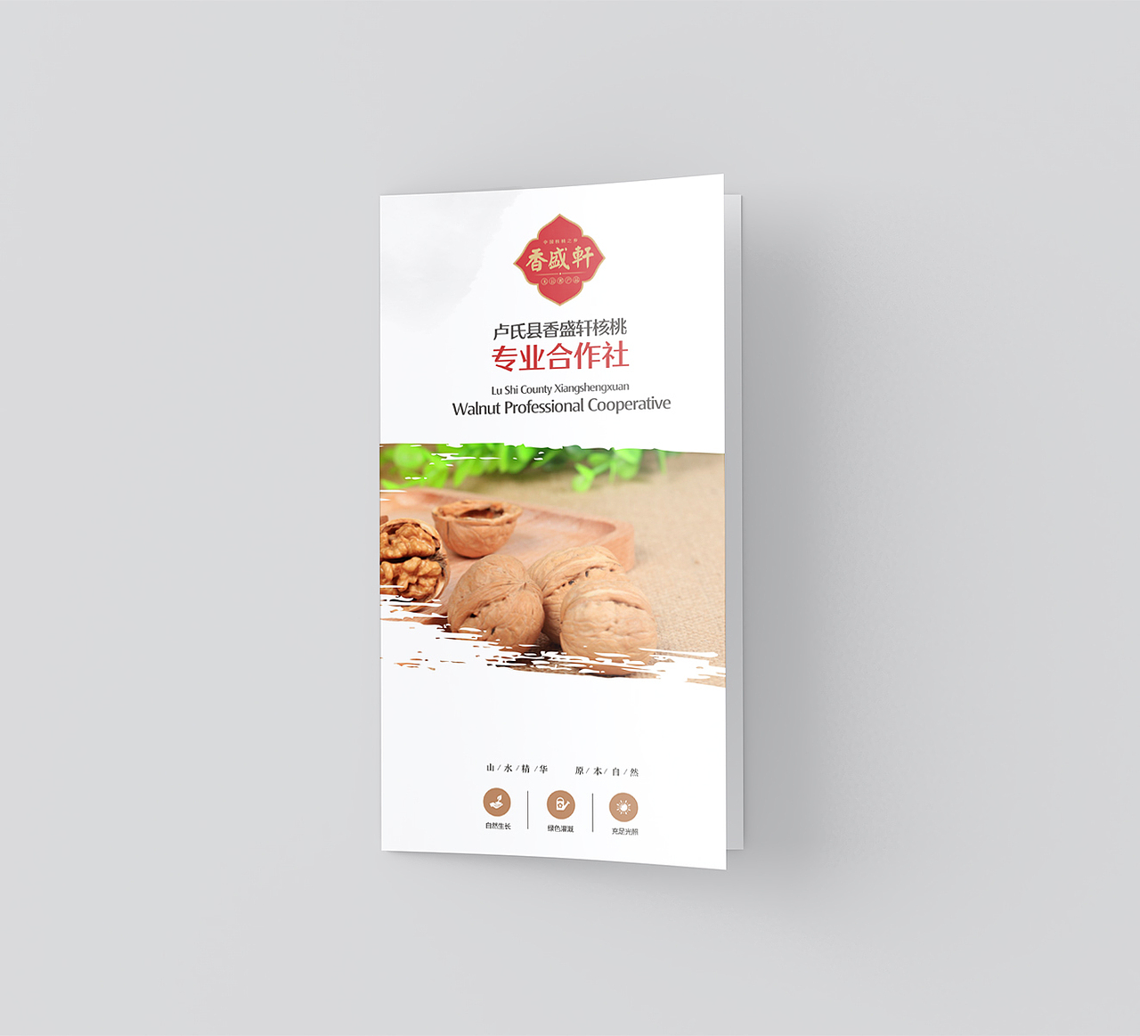 食品核桃三折页设计 微信aweisheji123（图ZMTc5NzM5Nzcy） - 宣传物料 - 站酷设计师a伟设计室原创素材 - 站酷ZCOOL