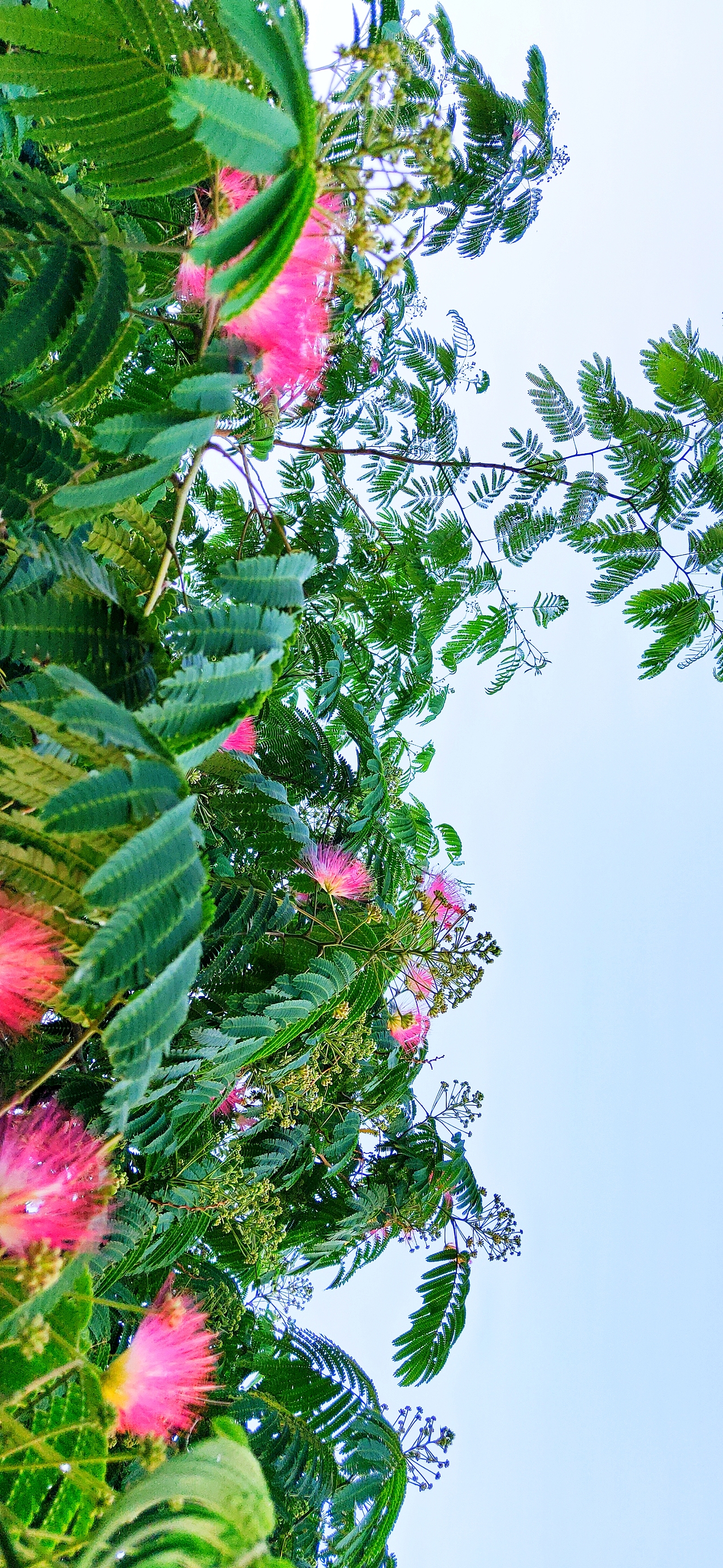 不知名（图ZMTYwODMxNTQ0） - 人文/纪实摄影 - 站酷设计师木石生灵原创素材 - 站酷ZCOOL