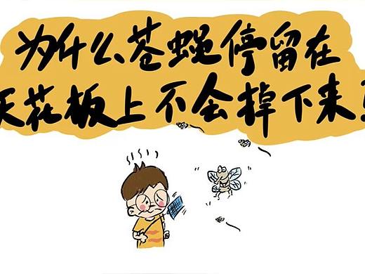【小阿图科普】为什么苍蝇停留在天花板上不会掉下来？