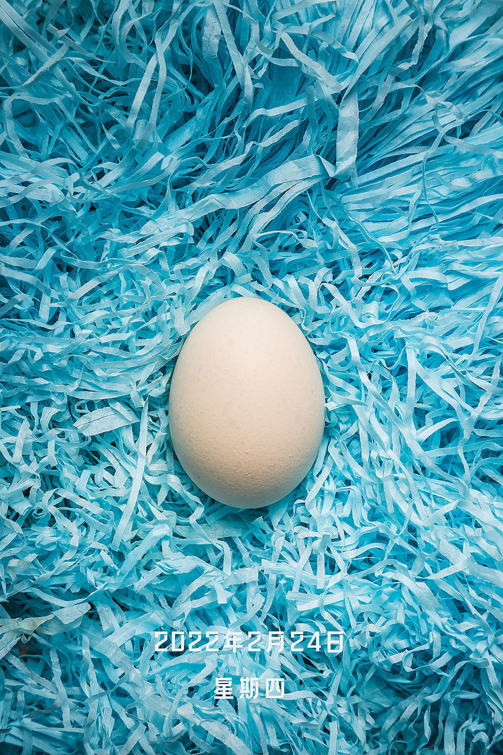 鸡蛋（图ZMjkwMDI2MzI0） - 产品摄影 - 站酷设计师白子梁原创素材 - 站酷ZCOOL