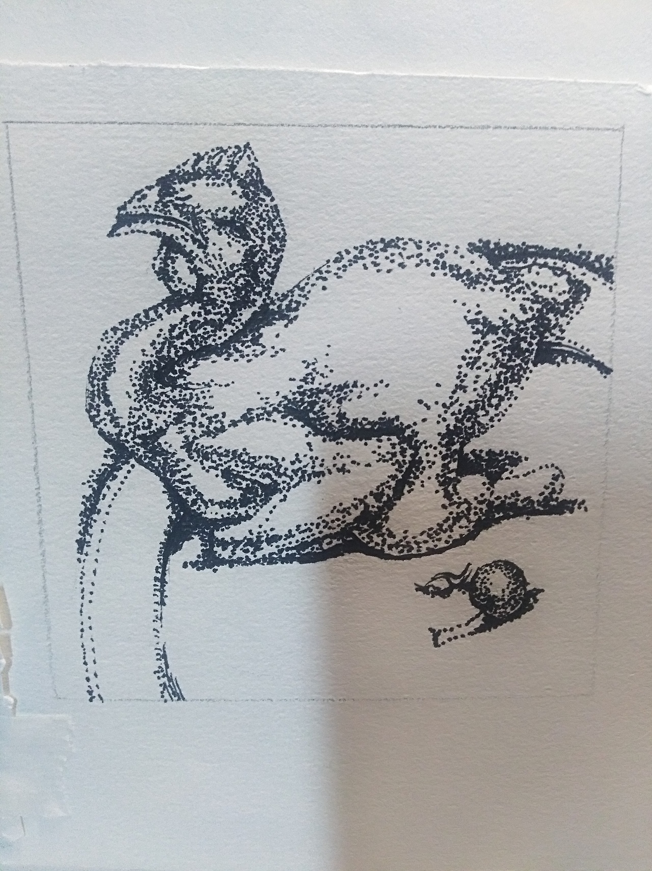 二维平面设计基础|平面|其他平面|带刀姐姐_原创作品-站酷zcool