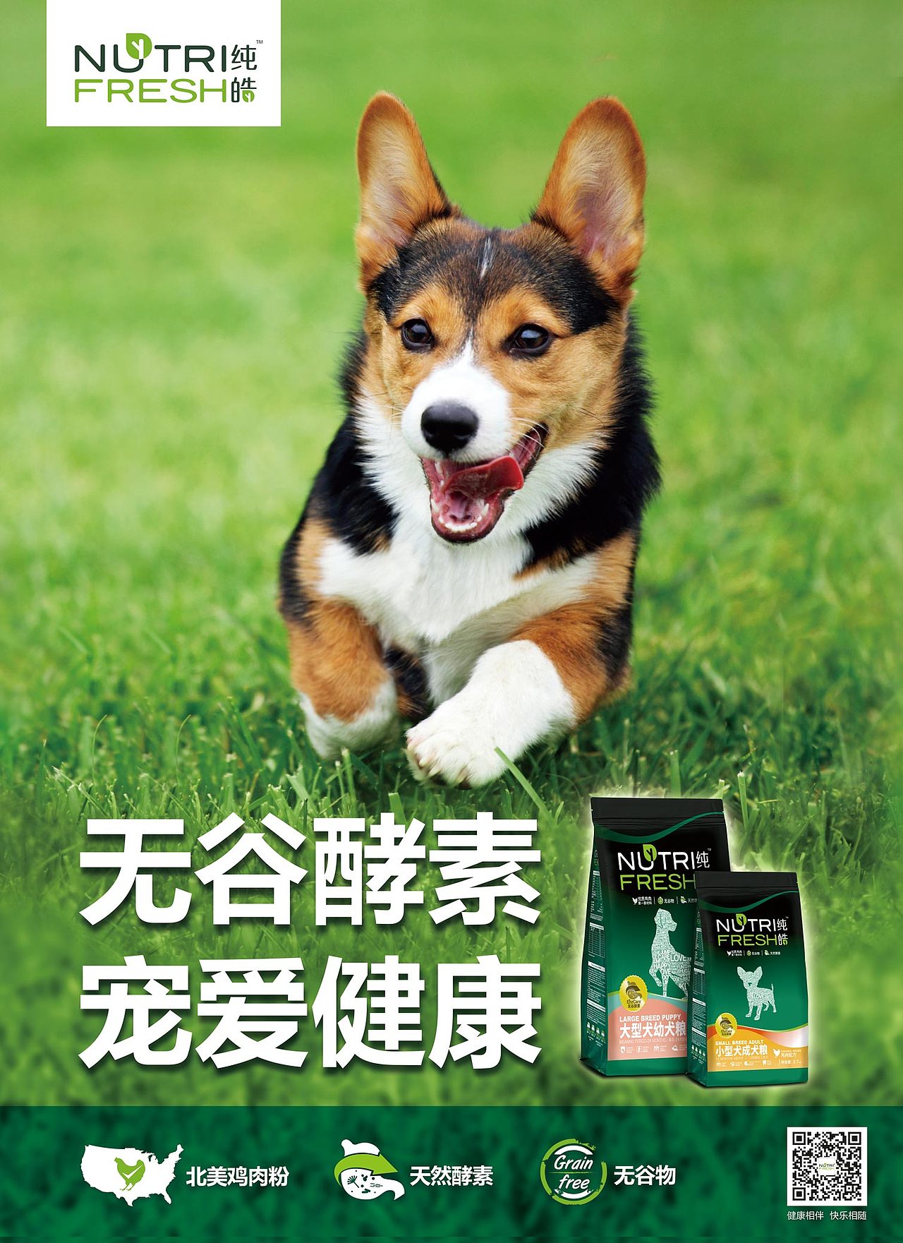 天然寵愛狗糧視覺設計（圖ZMTA4NTgzMTQ0） - 海報 - 站酷設計師年糕姐姐WindyQ原創(chuàng)素材 - 站酷ZCOOL