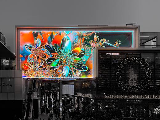 无机花朵：盛开 Inoraganic Flowers: Blossom