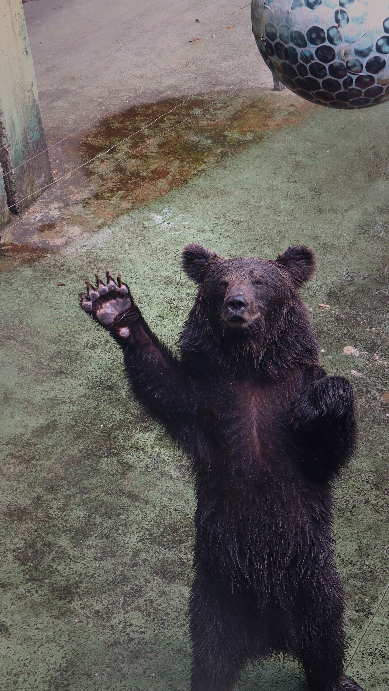 动物园里的他们