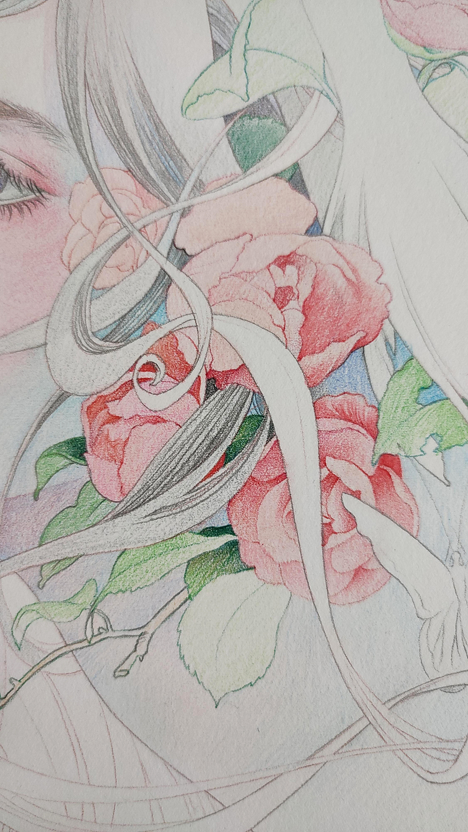 《山茶花》（图ZMjc3NTM5OTA4） - 绘画 - 站酷设计师kekebaby原创素材 - 站酷ZCOOL