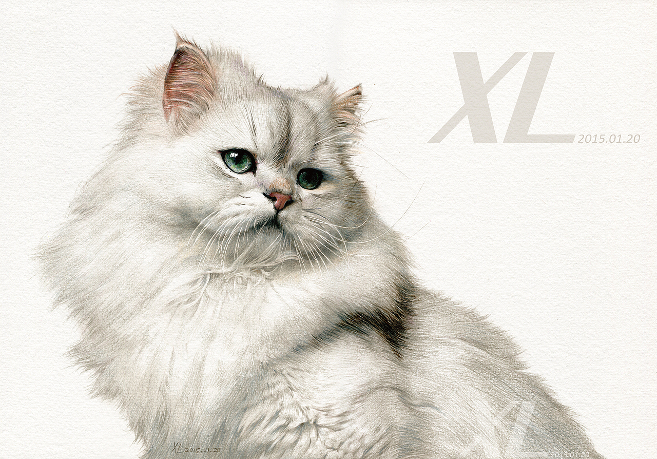 彩铅画－这里有50只喵星人（图ZNDkxOTg1MDQ=） - 绘画 - 站酷设计师祥雷原创素材 - 站酷ZCOOL