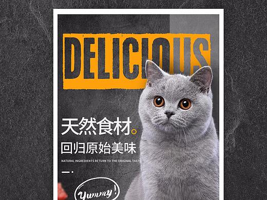 宠物食品
