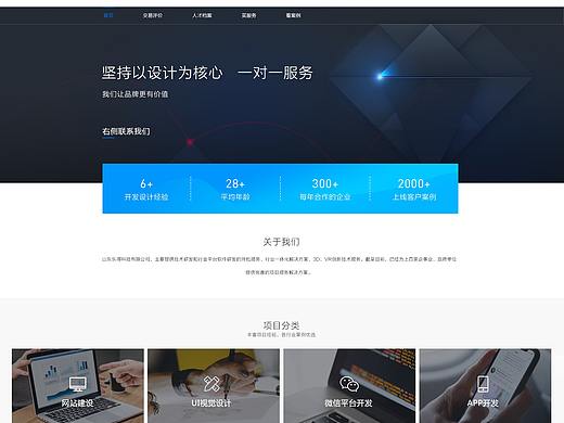 企业网站