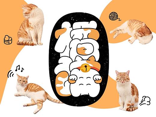 关于猫咪字体设计