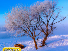 小小小小小海带的个人主页（背景预览） - 主页背景设置 - 站酷设计师小小小小小海带原创素材 - 站酷ZCOOL