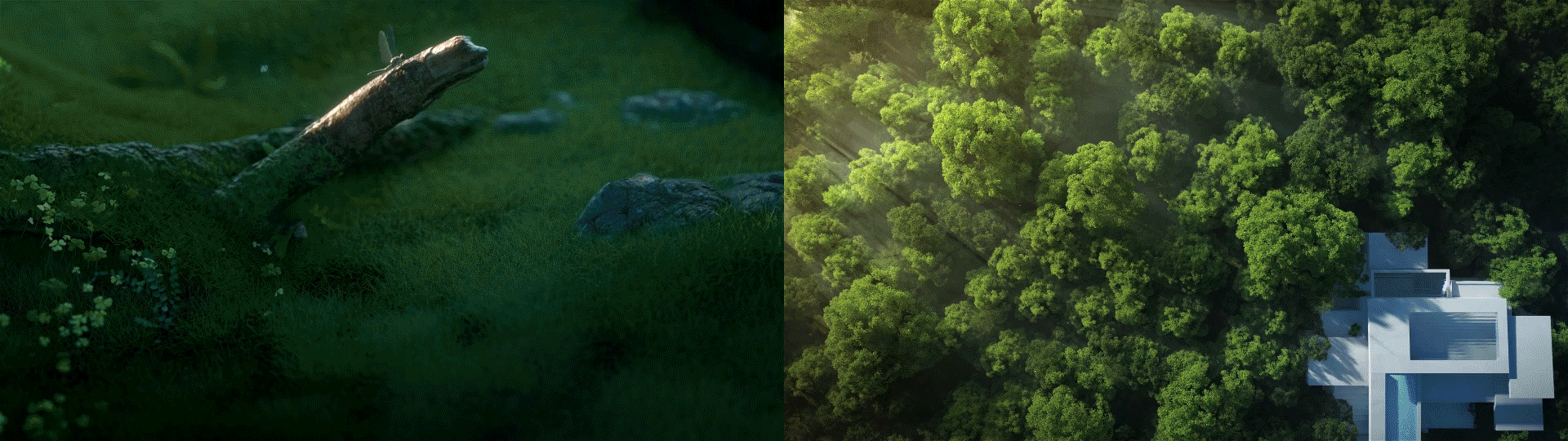 抖音品牌_向光概念视频