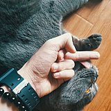用户头像