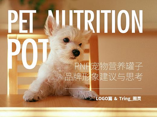 PNP宠物营养罐子LOGO／包装设计过程