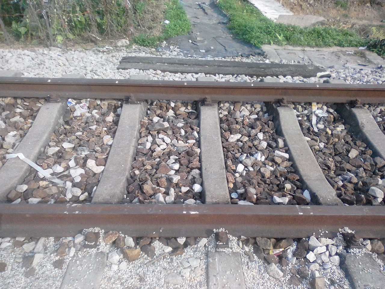 厦门自贸区铁路公园（图ZMTUxODA4NjI0） - 风光摄影 - 站酷设计师LEIZHAOXIA原创素材 - 站酷ZCOOL