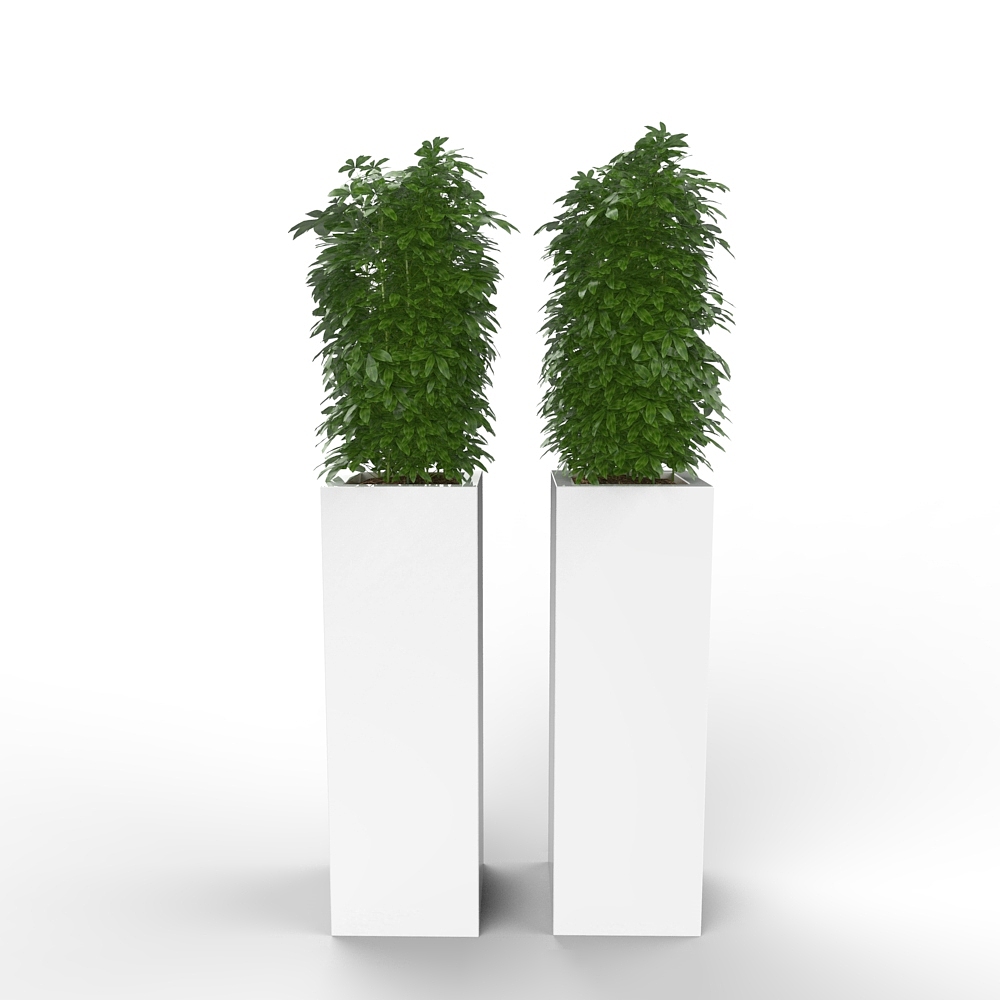 keyshot渲染办公室酒店植物