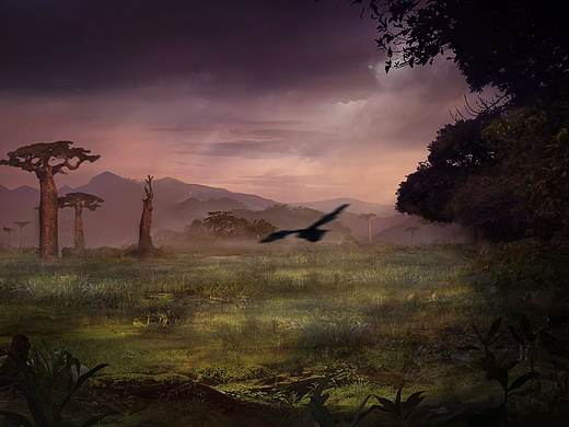 场景概念图·沼泽