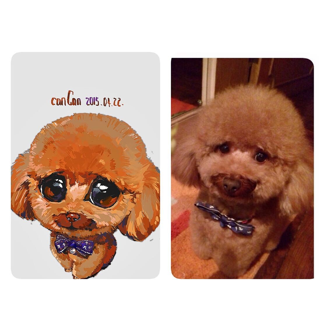 canCan画┃阿猫阿狗们（第一期）（图ZMjc1MjU0MDA=） - 商业插画 - 站酷设计师__canCan__原创素材 - 站酷ZCOOL