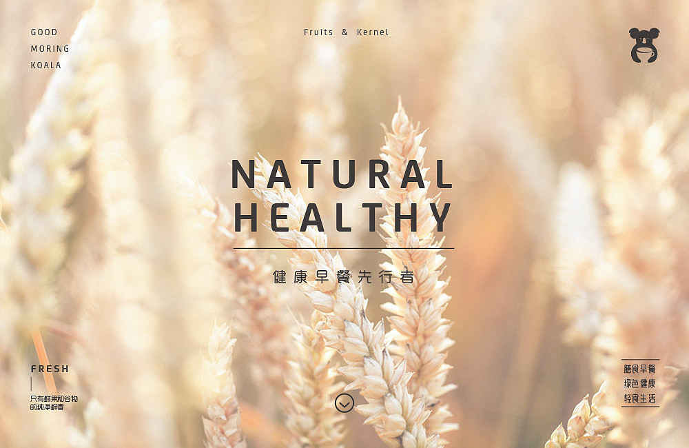 早啊考拉品牌设计（图ZMTUyMzY0MDA4） - 品牌 - 站酷设计师little丨k原创素材 - 站酷ZCOOL