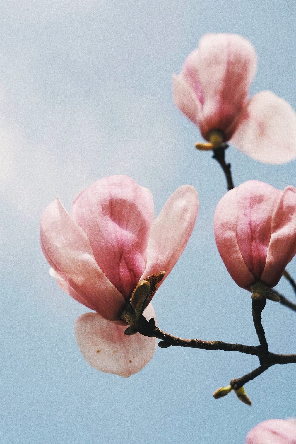 富士xt30| 腹機(jī)南波灣（圖ZMjQ0OTU4MjA0） - 產(chǎn)品攝影 - 站酷設(shè)計師Z自由女神原創(chuàng)素材 - 站酷ZCOOL