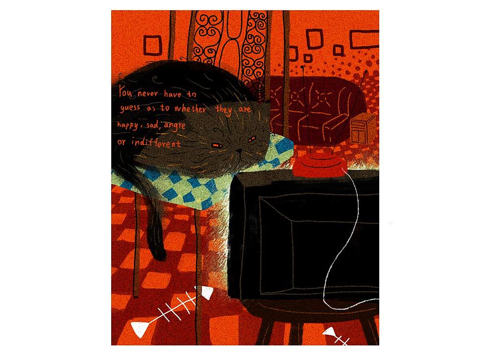 在电视剧里,我终于不用去在意那些人究竟是悲伤还是快乐亦或是泠漠。