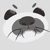 晓丨晨的头像