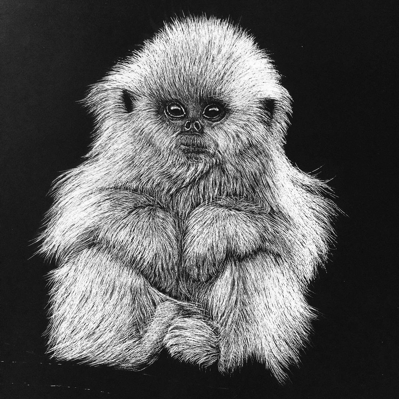 呆萌金丝小猴（图ZNTc3NjE5ODA=） - 创作习作 - 站酷设计师李子哥原创素材 - 站酷ZCOOL