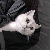晚晚爱晚睡的头像
