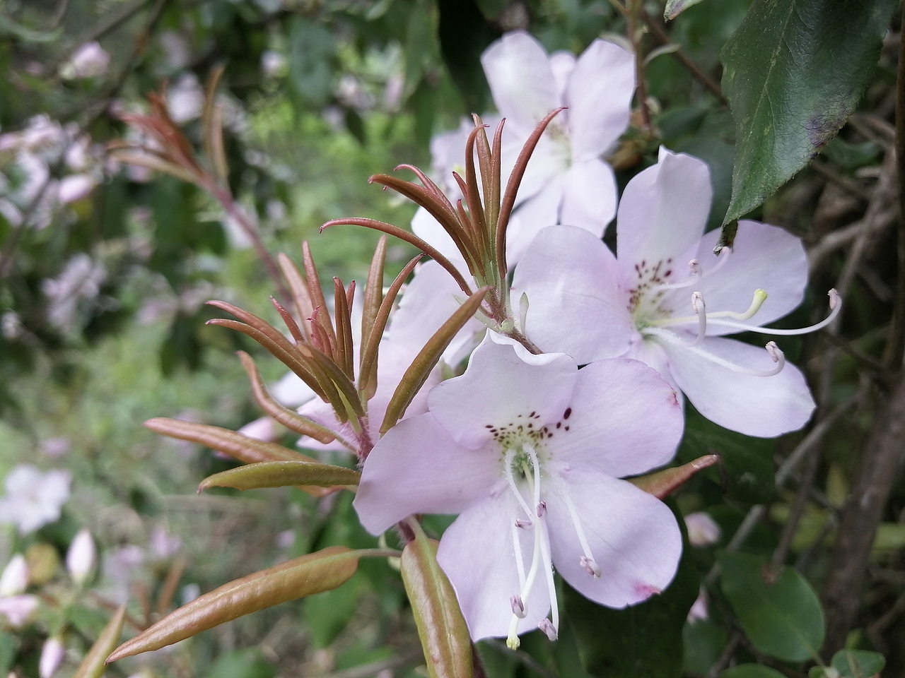 流年浮生（圖ZMjA0Mzk4ODYw） - 環(huán)境/建筑攝影 - 站酷設(shè)計(jì)師A玖熙原創(chuàng)素材 - 站酷ZCOOL