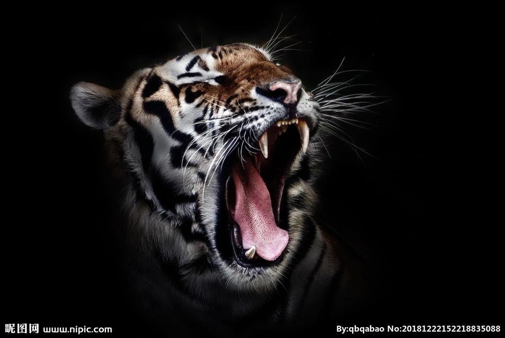 Nikki_Ei的个人主页（背景预览） - 主页背景设置 - 站酷设计师Nikki_Ei原创素材 - 站酷ZCOOL