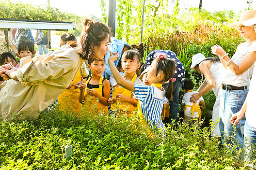 瑞吉欧.马拉古奇的探索花园