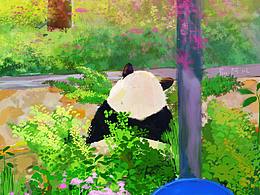 大熊猫萌兰 北京动物园 熊猫馆奥运馆