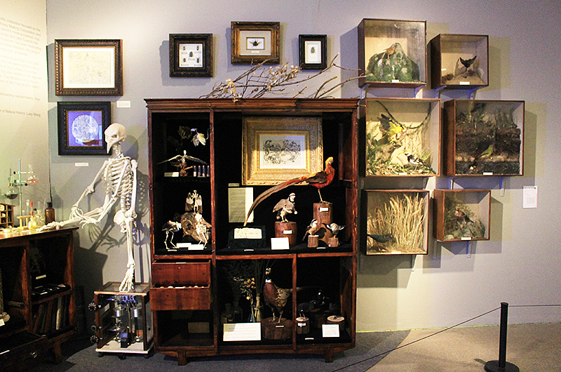 2017中央美院本科生毕业展现场报道(中)#2017毕业展＃（图ZODE3Mjg0Mjg=） - 绘画 - 站酷设计师站酷校园原创素材 - 站酷ZCOOL