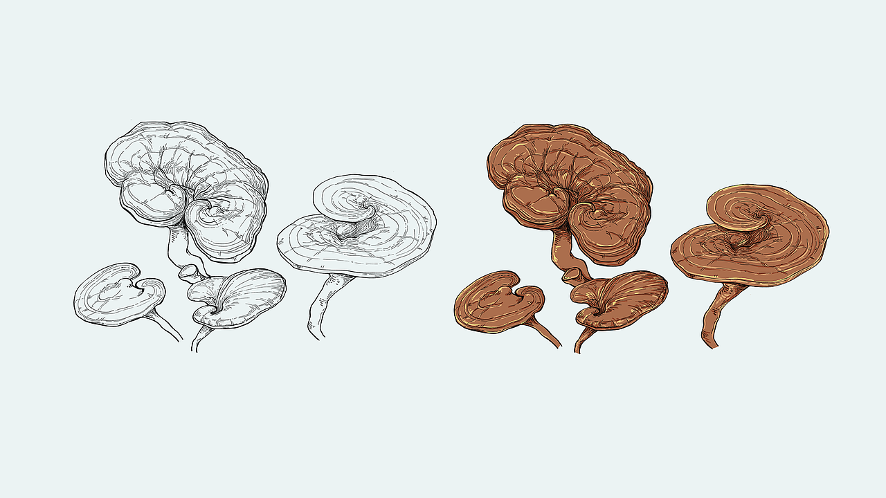 月色生活VI设计（图ZMTI0MzI4OTA0） - 品牌 - 站酷设计师SunpoolZCG原创素材 - 站酷ZCOOL