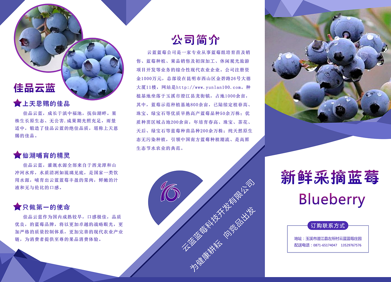 宣传折页（图ZMTQzMTcxMjk2） - 宣传物料 - 站酷设计师呆呆小萌原创素材 - 站酷ZCOOL