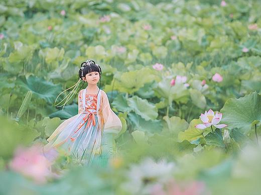 愿我如荷君如叶