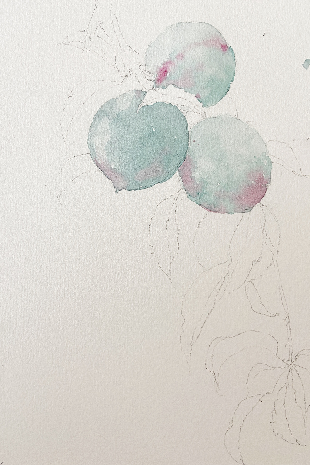 水彩手繪桃子（圖ZMjE4Njc0Mzcy） - 繪畫(huà) - 站酷設(shè)計(jì)師劉夢(mèng)水彩原創(chuàng)素材 - 站酷ZCOOL