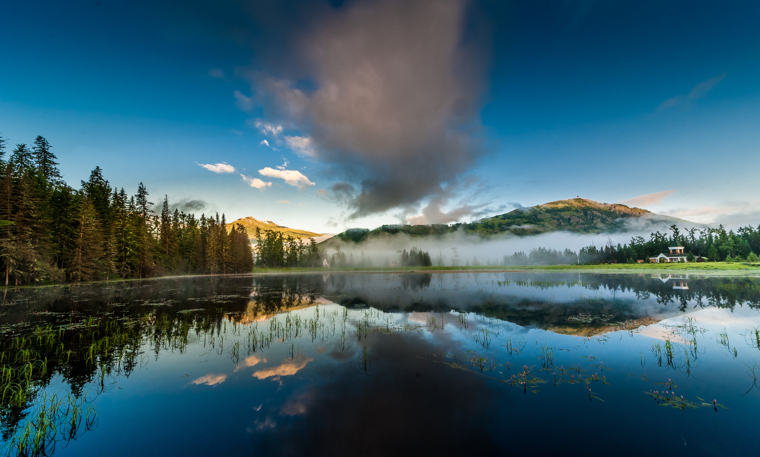 灰化肥发灰不发黑的推荐内容 - 站酷 (zcool)