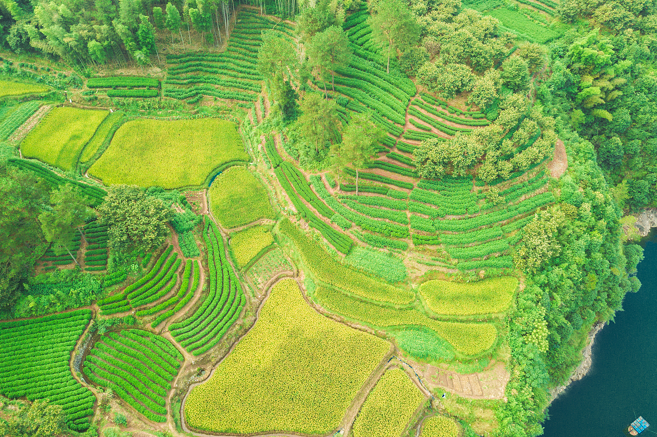浙江遂昌梯田航拍风光摄影