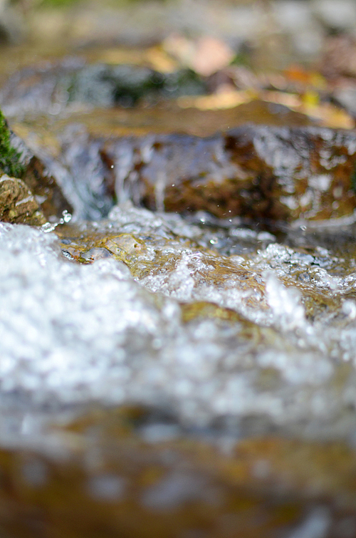 秋色（图ZNzE2MTQ4MA==） - 风光摄影 - 站酷设计师ming6ming66原创素材 - 站酷ZCOOL