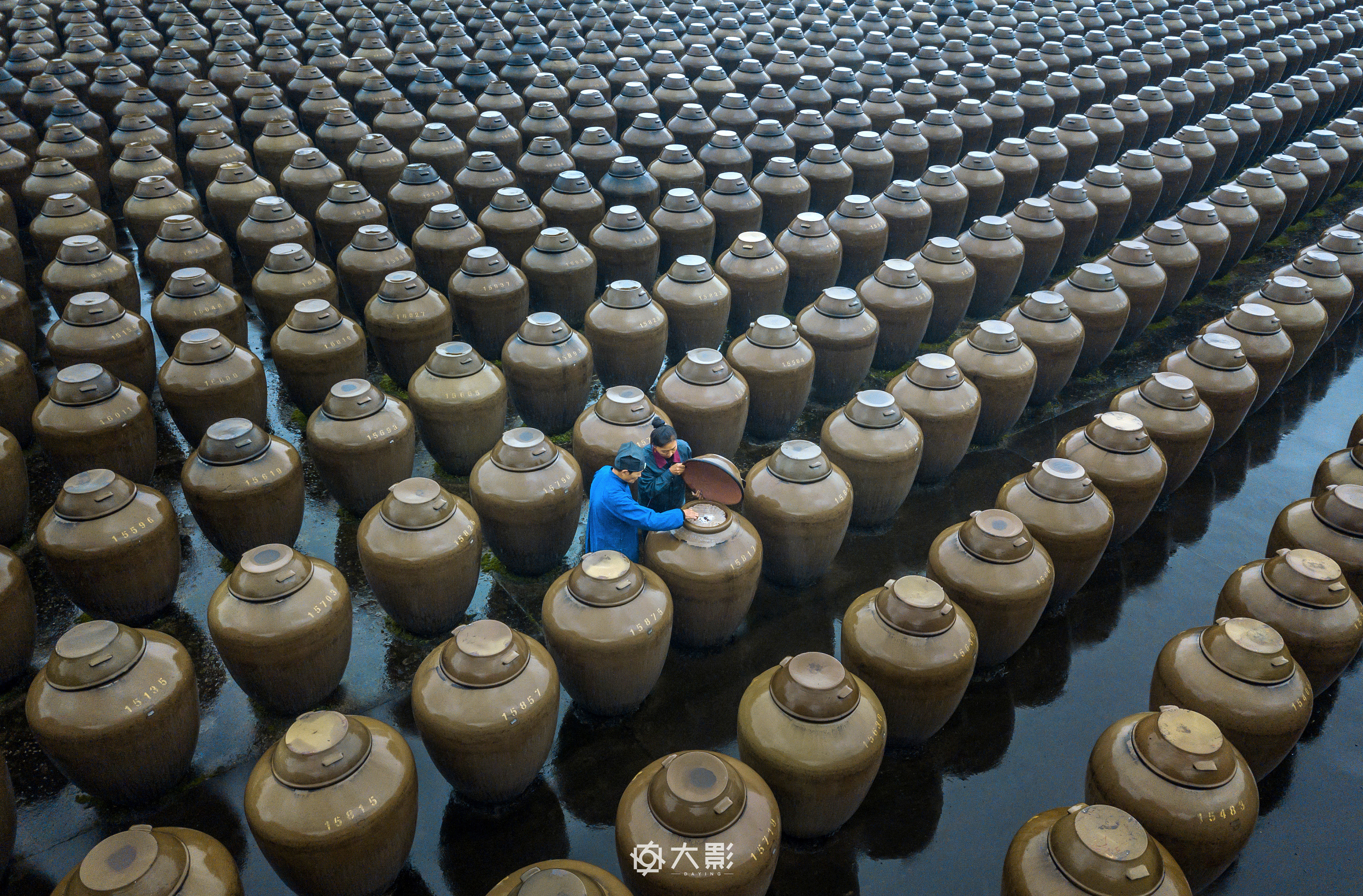 醋厂外拍|醋中茅台