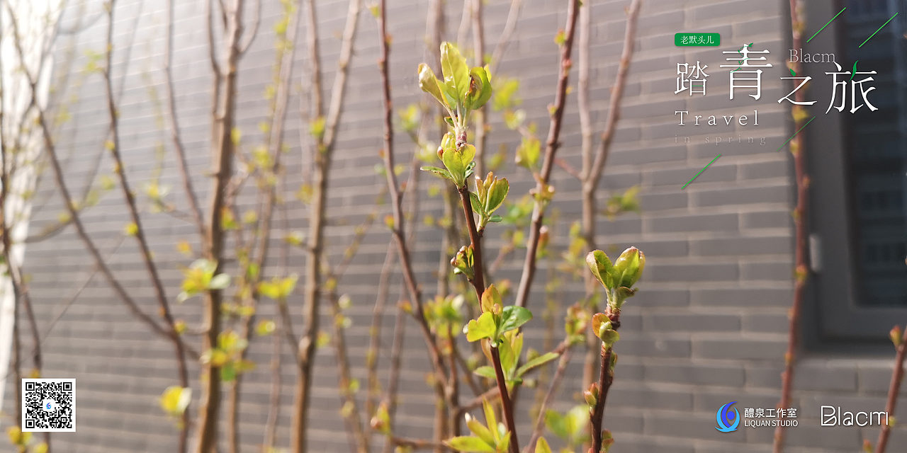 Blacm的踏春之旅（图ZMjA0NTIyMjc2） - 风光摄影 - 站酷设计师Blacm原创素材 - 站酷ZCOOL
