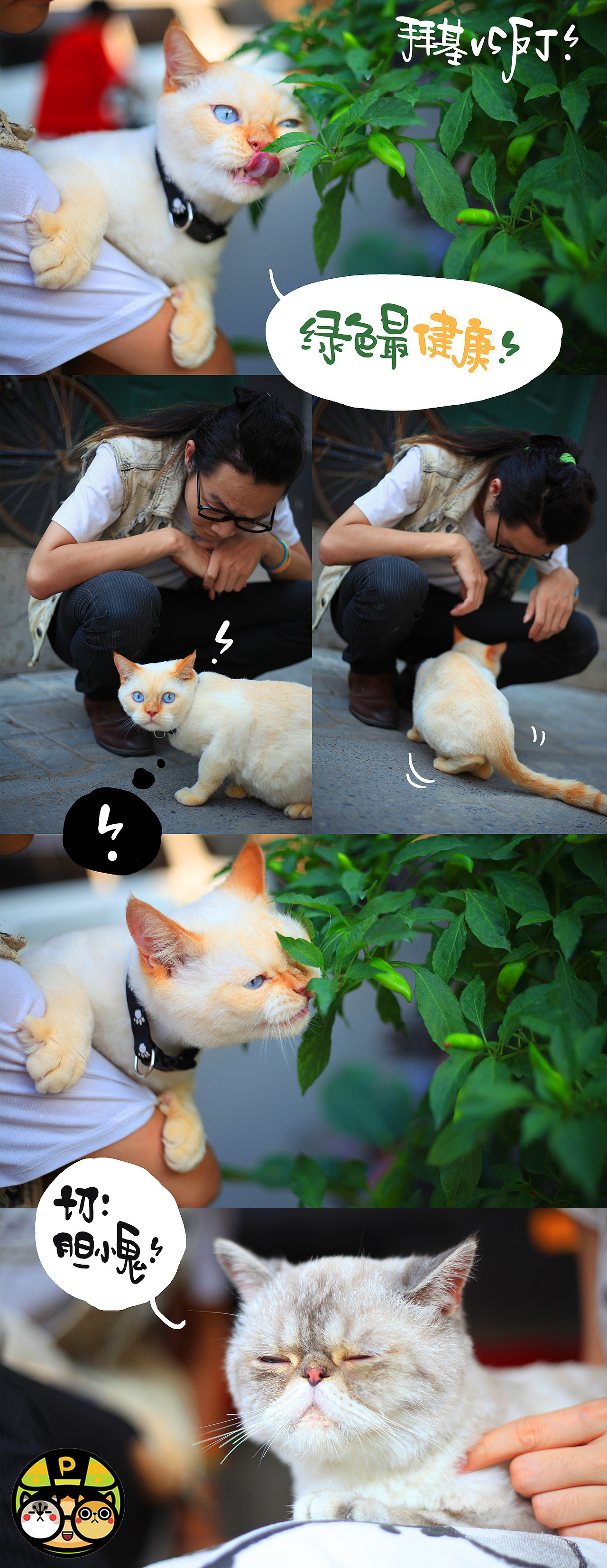 我的家的二大宝新专辑!《拜基vs反丁》~啊哈哈最新弹~