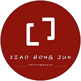 晓红君的头像