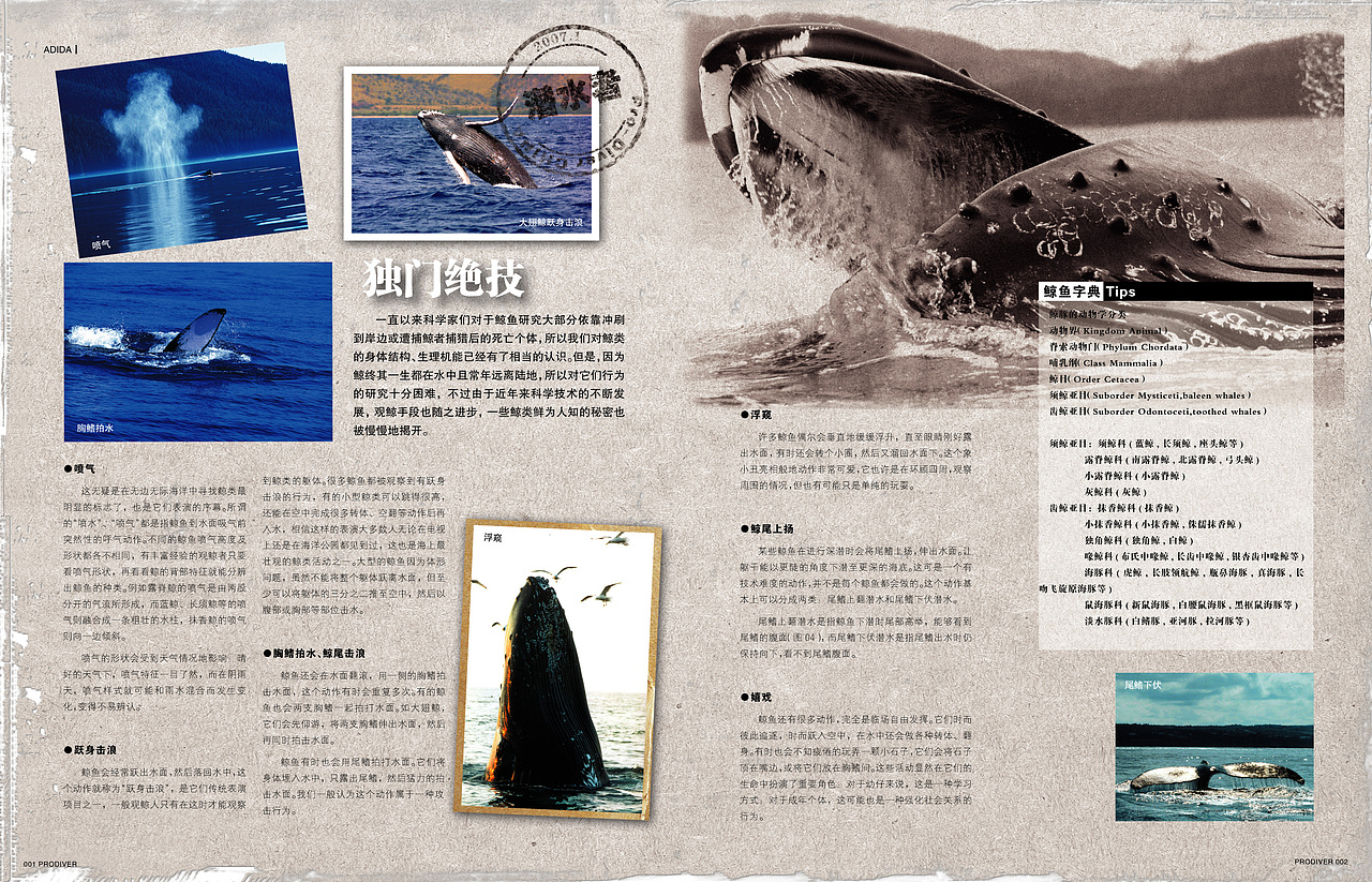 潜水者杂志部分页面（图ZMTk0NDIwOTYw） - 书籍/画册 - 站酷设计师pjrui原创素材 - 站酷ZCOOL