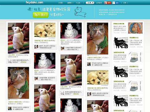 heyduke宠物社交分享平台+睿宠门店后台(个人主页-ZNDc3NTMwNjg=) - 门户网站 - 站酷设计师macthy原创素材 - 站酷ZCOOL