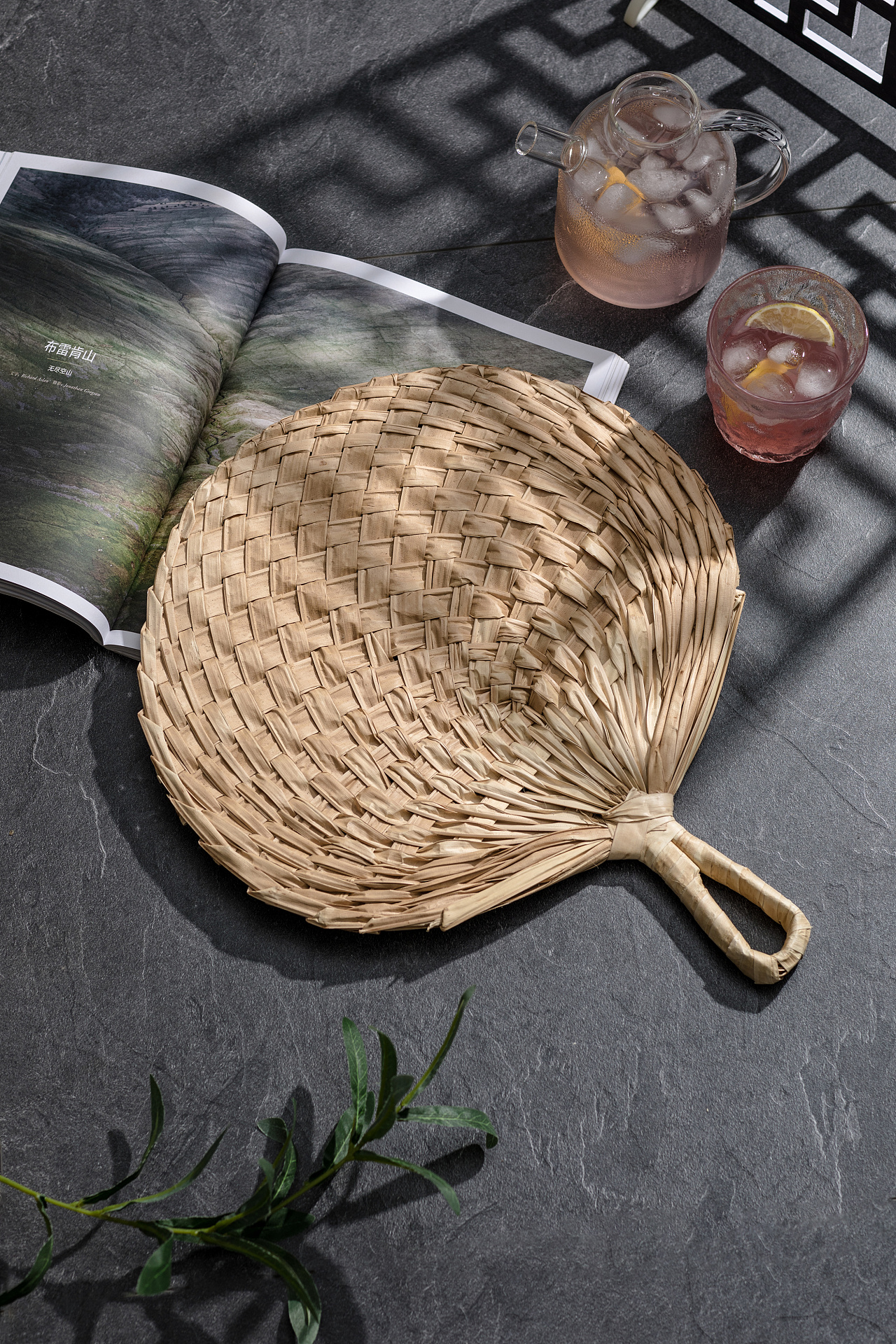 电商产品拍摄 夏天编织便携随身古风大蒲扇