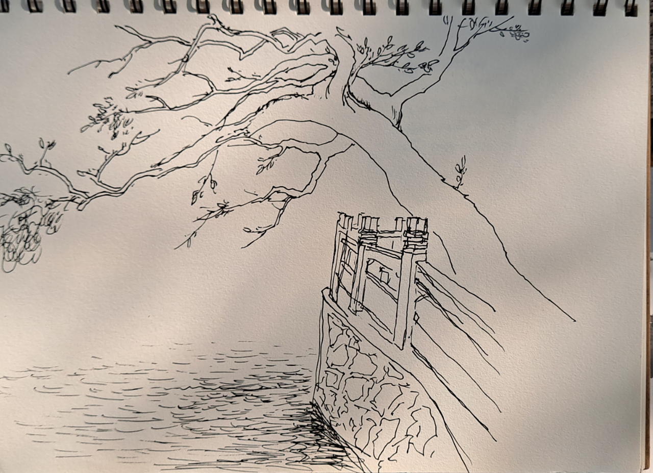 写生★名家作品选